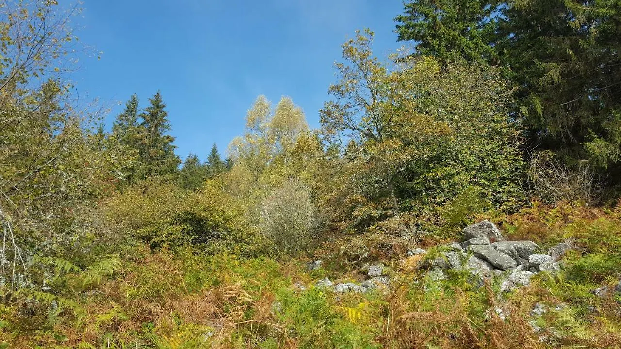Hébergement de vacances gite de Sauviat 25 chemin du grand Pacher le bourg de Sauviat 63120