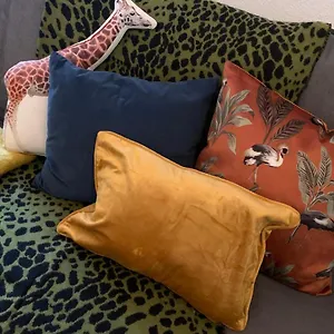 Cosy Le Safari Avec Wifi Appartement